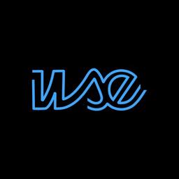 White Spider Electronics Logo