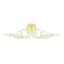 Empress Crest Logo