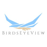 BirdsEyeView Technologies Logo