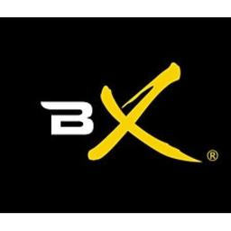 BollyX - The Bollywood Workout Logo