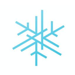 Snowing Logo