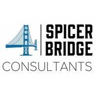 Spicer Bridge Consultants Logo