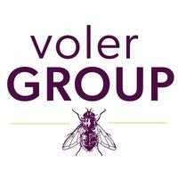 volerGROUP Logo