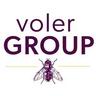 volerGROUP Logo