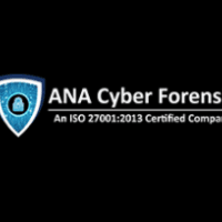 Ana cyber Logo