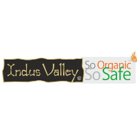 Indus Valley Logo