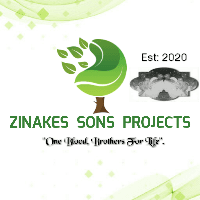 Zinakes Sons Projects Logo