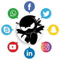 The Social Ninjas Logo
