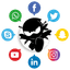 The Social Ninjas Logo