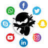 The Social Ninjas Logo