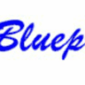 BLUEPRINT BUSINESS Logo