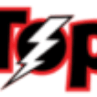 TOP SECURITY Logo