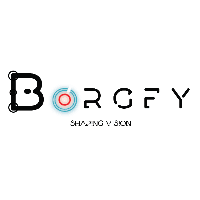 Borgfy Pvt ltd Logo