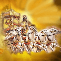 SHRI KRISHNA NILAYAM MEDICAL AND IT SERVICES OPC PVT LTD Logo