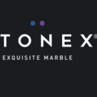 Stonex India Logo