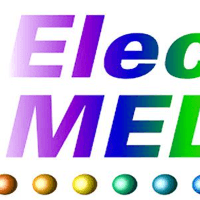 Electro Media International Logo