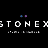 Stonex India Logo