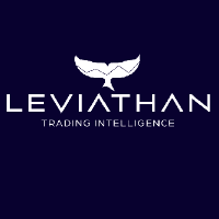Leviathan Financial Management LLC Logo