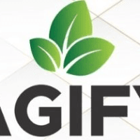 Agify Global Logo