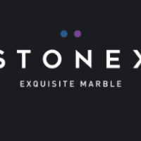 Stonex India - New Delhi Logo