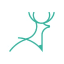 Deer Designer Logo