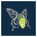 Cocoonfxmedia Ltd Logo