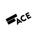 ACE Amsterdam Center for Entrepreneurship Logo