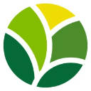 Bloomio Logo