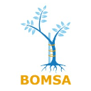 British Orthopaedic Medical Students Association Logo