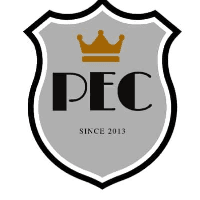 Panda communication nig Logo