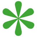 First Intuition Birmingham Logo