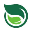 kokono Logo