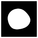 Mycorena Logo