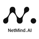 NetMind AI Logo