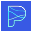 Payflow YC S21 Logo
