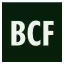 Briggs Capital Formation Logo