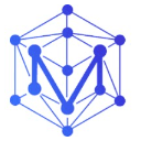 The Metaverse Institute Logo
