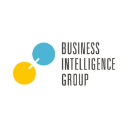 Business Intelligence Group (BIG) Logo