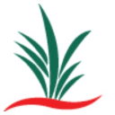 Centre for Qualitative Research Logo