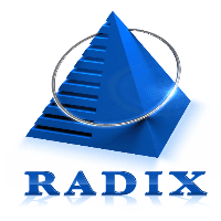 Radixweb Logo