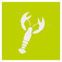 Hotlobster Design Ltd Logo
