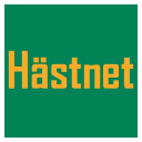 H stnet Logo