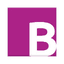 Blacklight Software Logo
