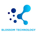 Blossom Technology Solutions Logo