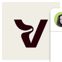 Vividye Logo