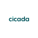 Cicada Communications Logo