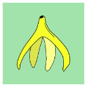 School of Sexuality Education Logo