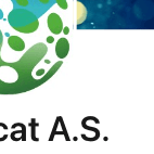 Procat A S Logo