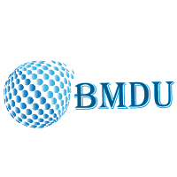 BM Digital Utilization LLP Logo