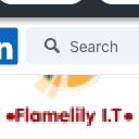 Flamelily IT Logo